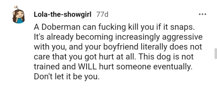 This Dog Is Not Trained