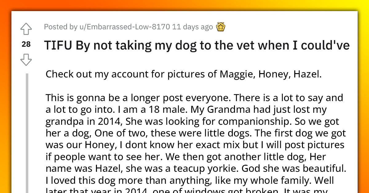Redditor Is Devastated For Not Taking His Beloved Family Dog To The Vet Before It Died