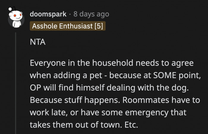 They can swear all the promises to be solely responsible for their pet, but there will come a day when OP has to take care of the dog because they have to work overtime or need a night off.