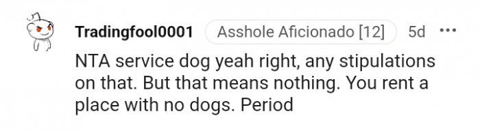 You Rent a Place with No Dogs