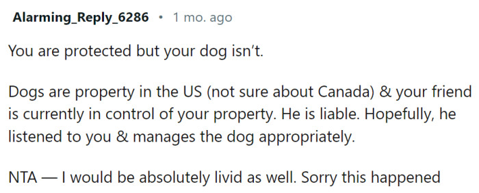 The pet sitter is liable