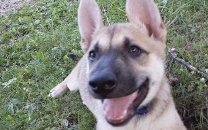 12. "Charlie before and after adoption?"