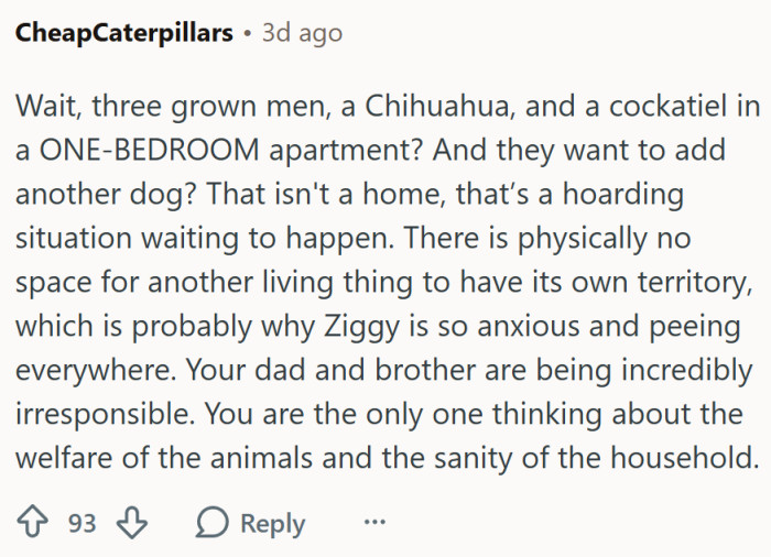 "That isn't a home, that’s a hoarding situation waiting to happen."