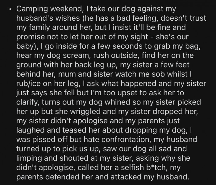 OP's husband knew something would go wrong, but OP insisted on bringing the dog along.