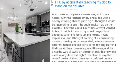 Pet Owner Receives Tips From Fellow Dog Lovers After His Doggo Developed An Unwanted Habit