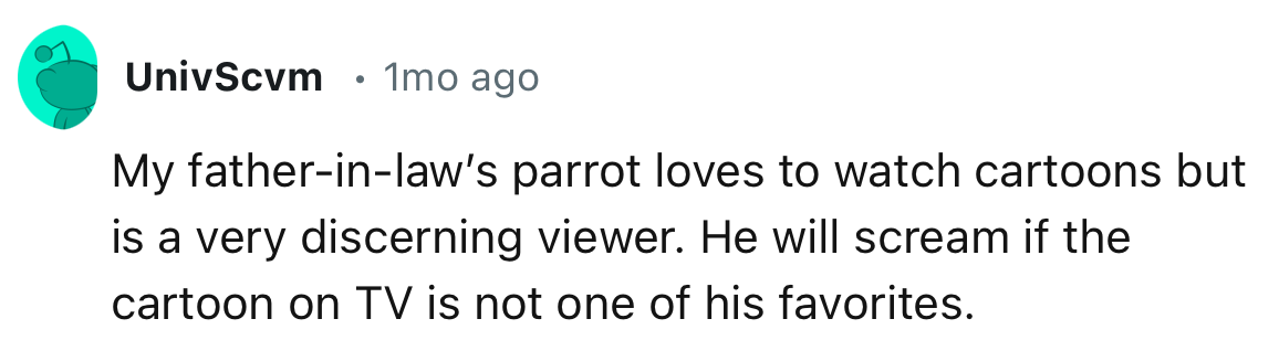 “My father-in-law’s parrot loves to watch cartoons but is a very discerning viewer.”