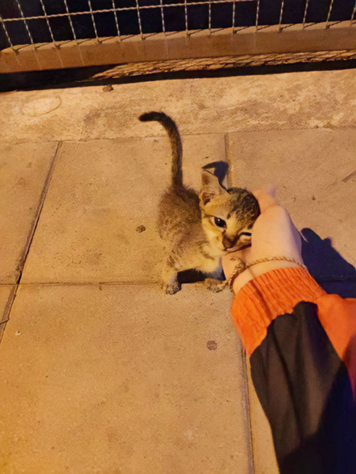 33. I might just pass away because of cuteness overload