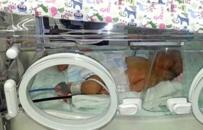 When the dog was near the can, he heard a squeaky sound, much like that of a young kitten. For some reason, the dog felt compelled to grab the bundle with his mouth and drag it with him.