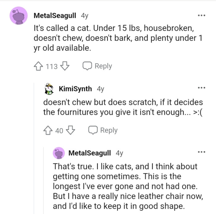 The Person is Most Likely Looking for a Cat