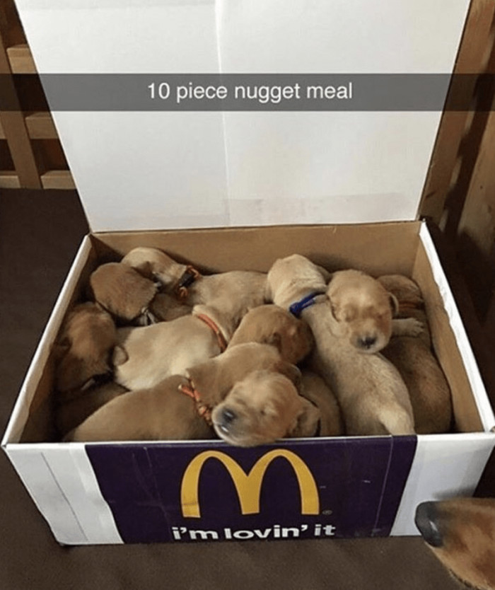3. This adorable 10-piece nugget meal of the pupperoni variety has just captured our eyes and our hearts; we want to give every last little nugget a big wet nose boop.