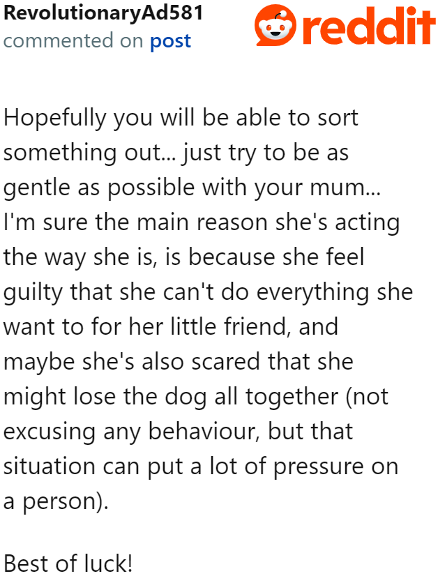 The discussion around the dog doesn't need to be a dramatic one.