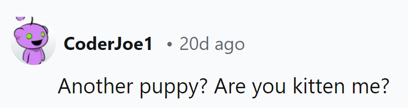 Looks like someone's paw-sitively addicted to furry surprises!