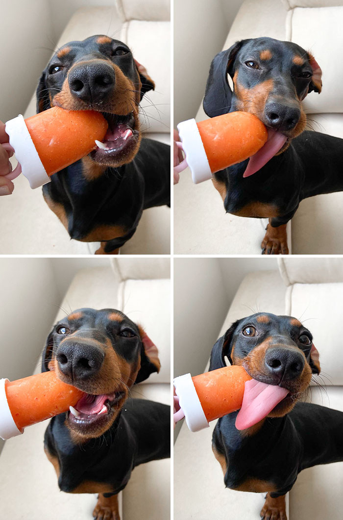 "Today My Mom Gave Me A Mango And Strawberry Popsicle"