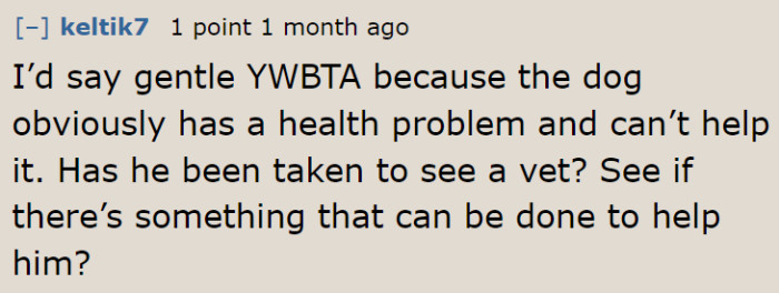 A Redditor Believes That She Should Continue Taking Care of the Helpless Dog.