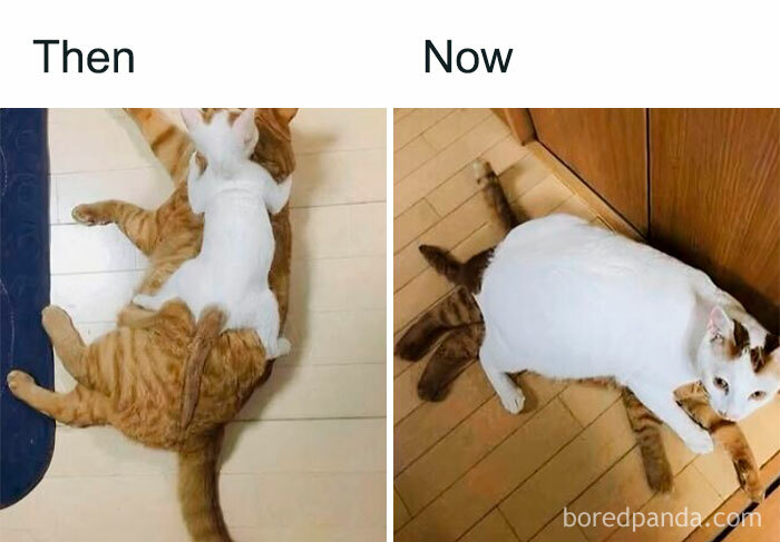 15. The difference is clear