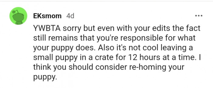 6. You shouldn't leave a dog in a crate for that long