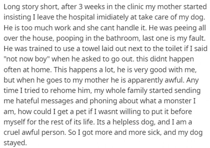 OP's family was harsh on her for even considering rehoming the dog that she needed to take care of.