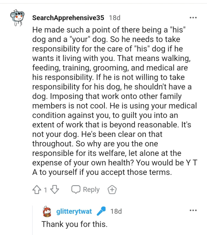 He shouldn't have a dog if he can't bear the responsibilities