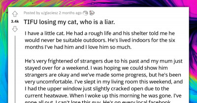 This Cat Really Loves Bread - Hilarious Story Of Cat Who Was Found Blissed Out In Food Coma And Totally Ignoring His Owner