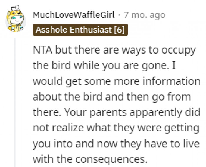 Think before adopting