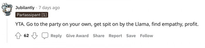 Go to the party and get spat on by a llama