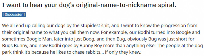 What is your dog's original name to nickname spiral?