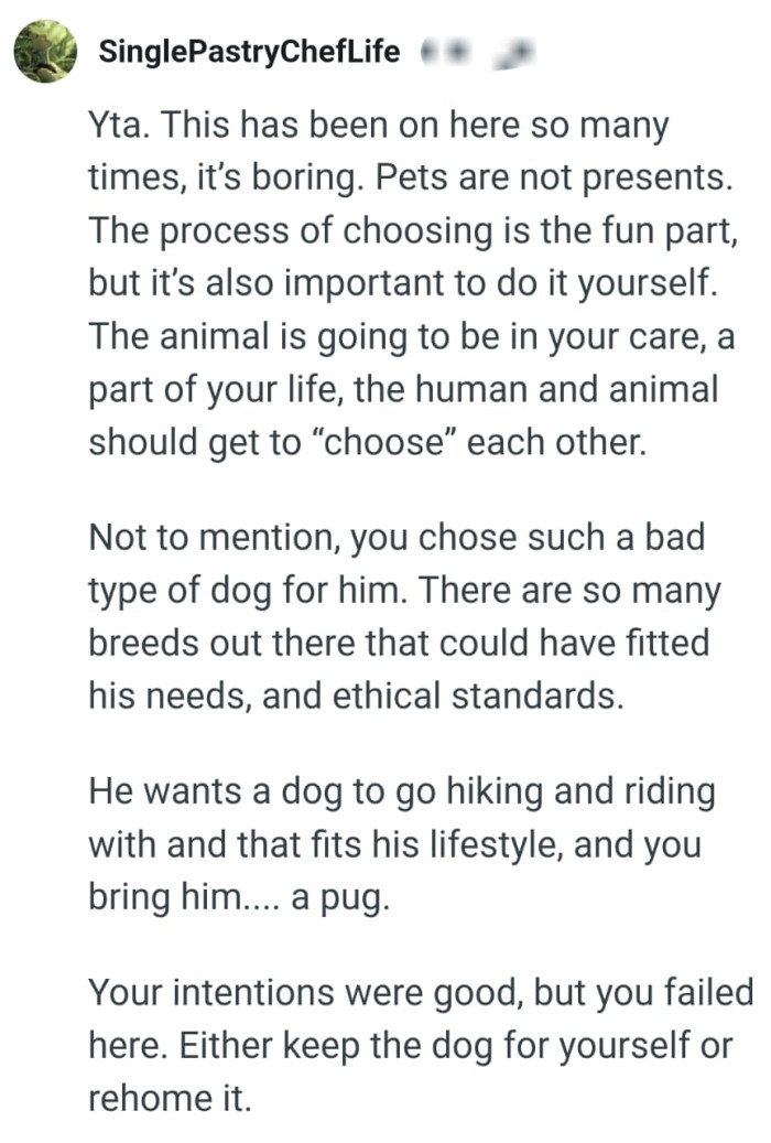 The OP chose such a bad type of dog for her bf