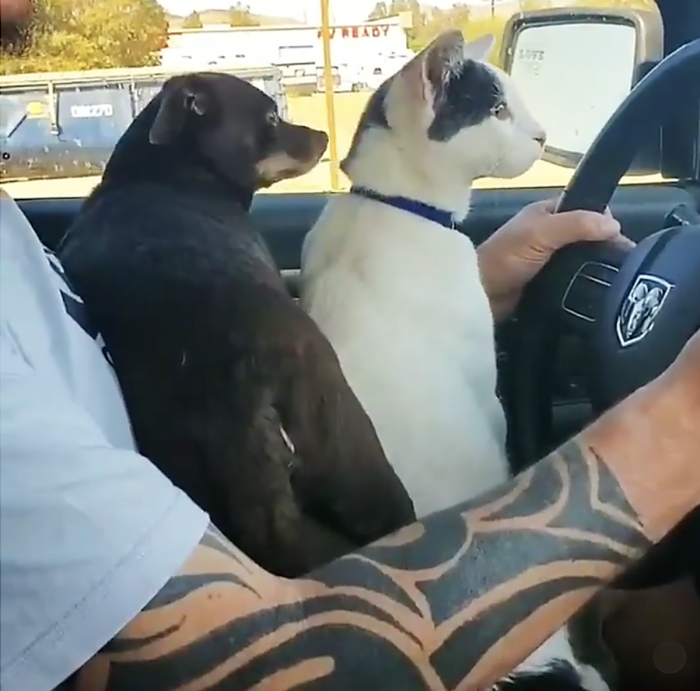 Now We Learn Shifting Gears...