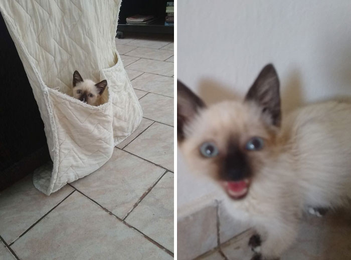 Cozying up one minute, the next minute he's in beast mode