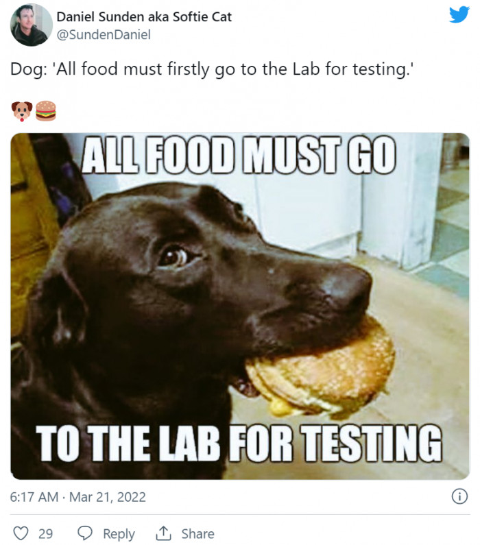 8. Sorry, instructions were unclear—which Lab was the food supposed to go?