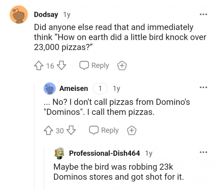 How on earth did a little bird knock over that amount of pizzas?