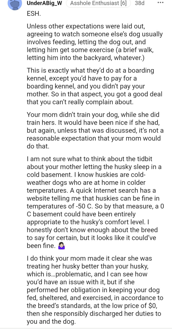 This Is Exactly What They Do at a Boarding Kennel