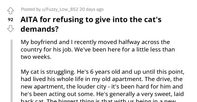 Cat's Early Morning Food Demands Causes Tension Between Couple