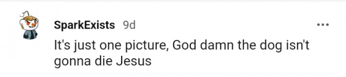 It's just one picture