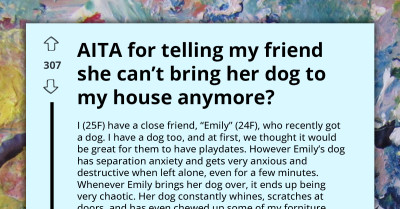 Lady Bans Close Friend From Bringing Destructive Dog To Her House, Gets Tagged Bad Friend