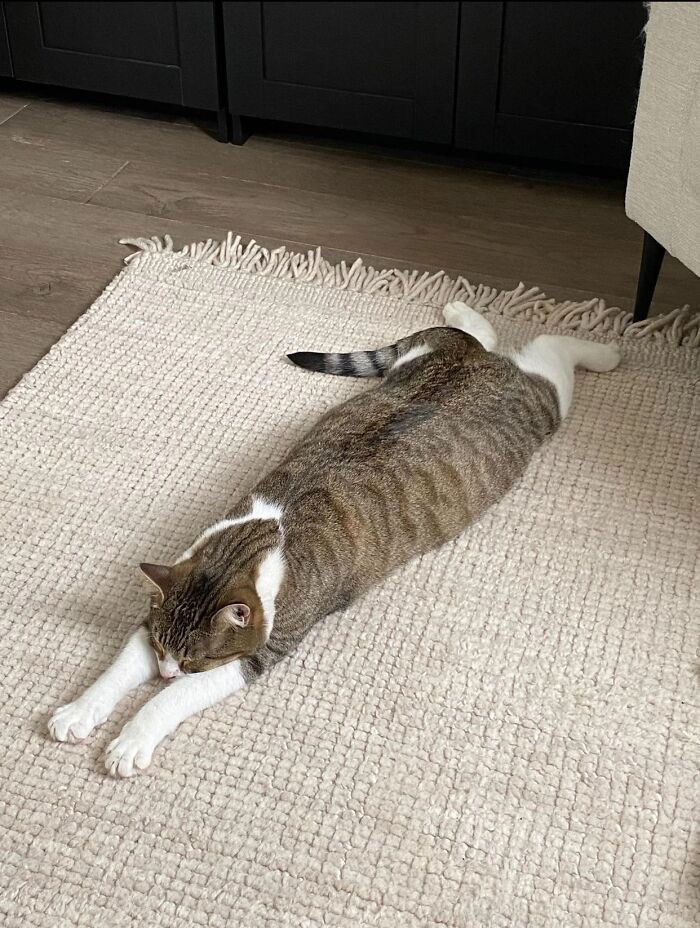 "We Call This Position 'Pancaking'"