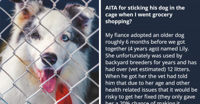 Things Get Out Of Hand As Redditor Puts Her Fiance’s Senior Dog In A Cage And Goes Grocery Shopping