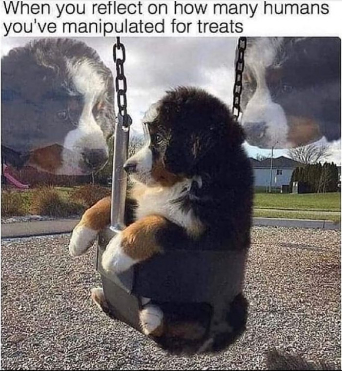 7. What's needed to be done is done.