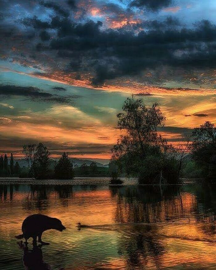 22. A stunning sight