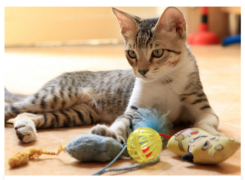 28. During playtime, move toys in a big arc rather than a straight line.