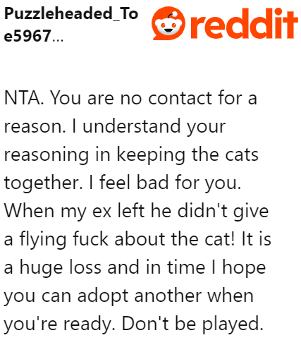 At this point, the cat already belongs to his ex. It's her responsibility now.