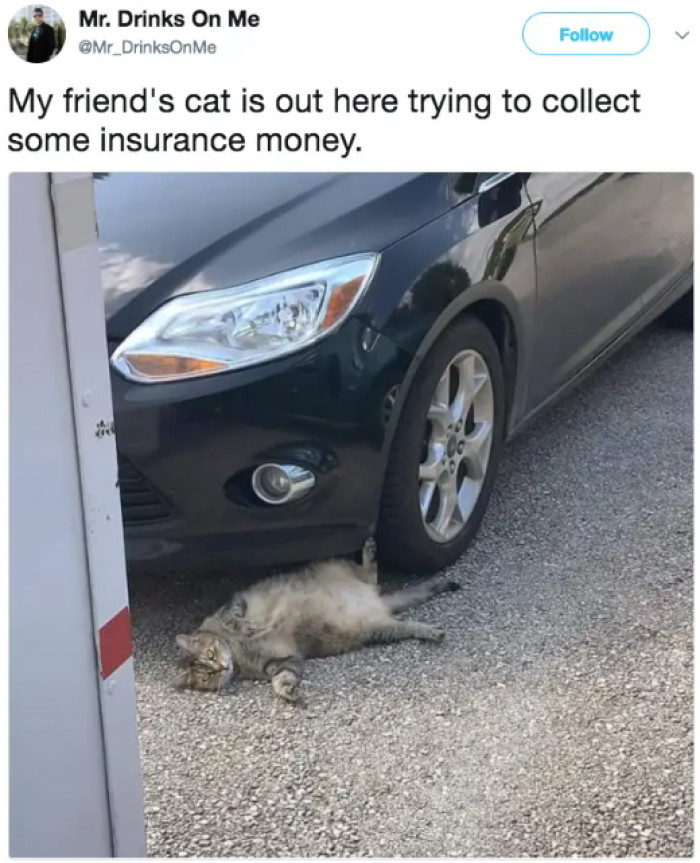 15. Nothing personal; she just needs some money for vacation.