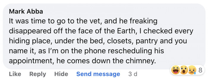 12. Say hello to this little escapee