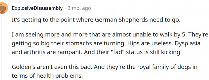 German Shepherds are also in danger because of the twisted standards.