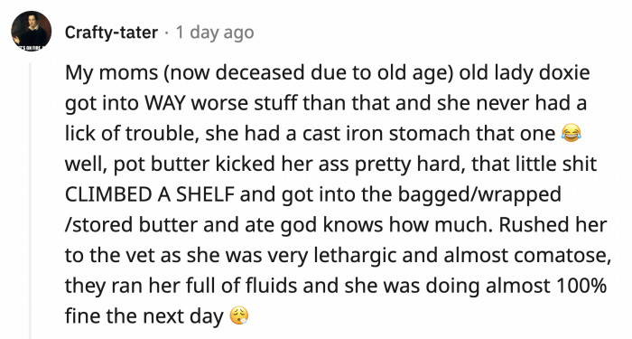 Fat is terrible for dogs, but they don't know that since this one is willing to go all ninja warrior to get to one