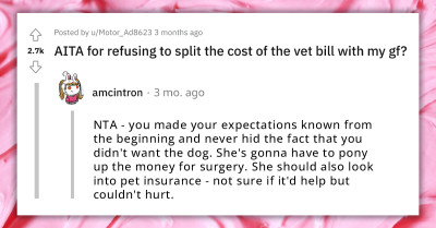 Man's Girlfriend Wants Them To Split Vet Bills After Getting A Dog Against His Wishes, He Refuses Saying It's "Her Dog"