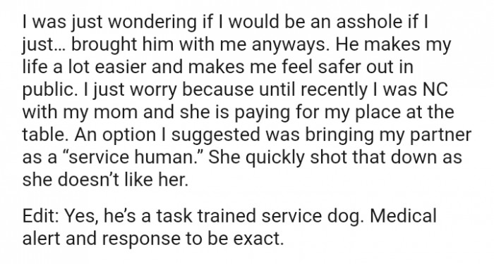 An option I suggested was bringing my partner as a “service human”