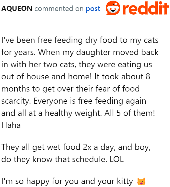 A Redditor shares how free feeding benefited their cats.