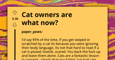 Random Facebook User Makes Wild, Sweeping Claims About Cats And Their Owners, Advises All Cat Owners To Seek Help