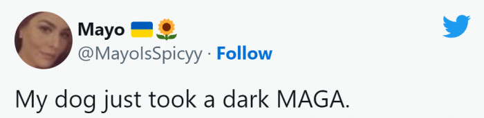 8. We hope it's not a Mega Maga...